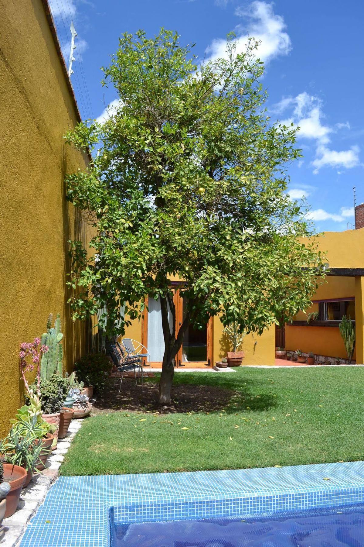 Hotel Casa Catalina San Luis Potosí Exteriér fotografie